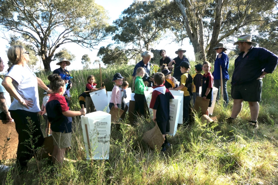 Gunning Scouts planting for the future