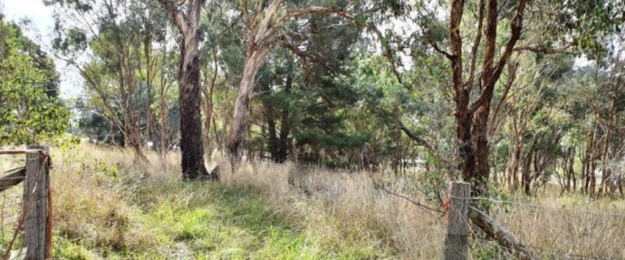 Gunning Showgrounds “bush block” to receive a makeover